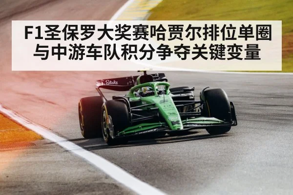F1圣保罗大奖赛哈贾尔排位单圈与中游车队积分争夺关键变量